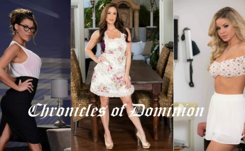 Chronicles of Dominion Adult Game Cover