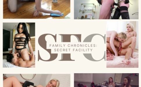 Family Chronicles Secret Facility Adult Game Cover