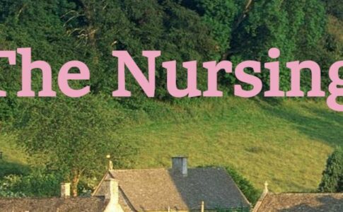 The Nursing Home Adult Game Cover