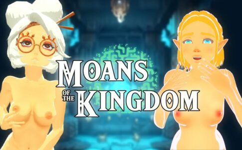 Zelda Moans of the kingdom Adult Game Cover