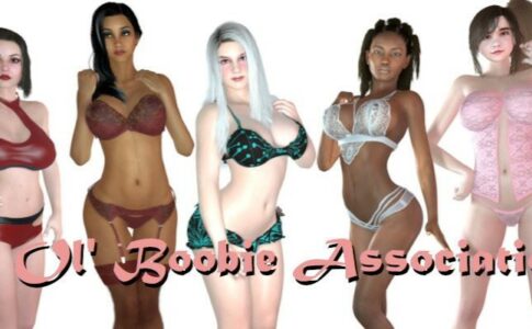 Big Ol Boobie Association Adult Game Cover