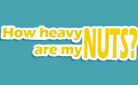 How Heavy Are My Nuts Adult Game Cover