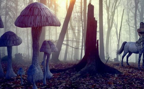 Beast Companions Adult Game Cover