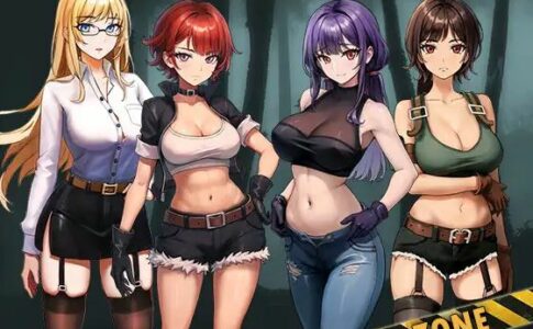 D-Zone Adult Game Cover