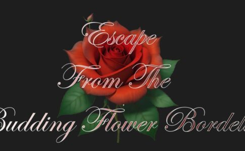 Escape From The Budding Flower Bordello Adult Game Cover