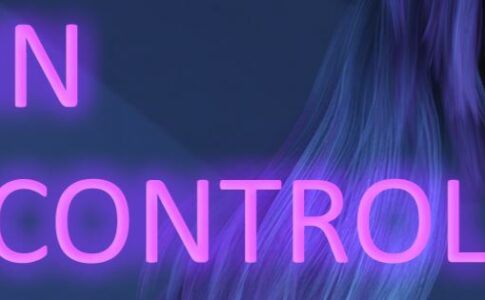 In Control Adult Game Cover