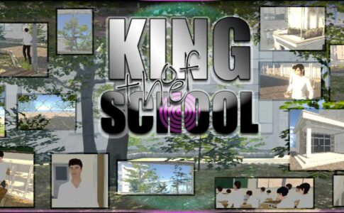 King of the School Adult Game Cover