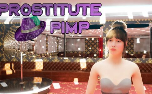 Prostitute Pimp Adult Game Cover