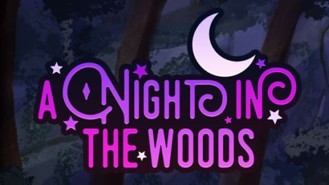 A Night in the Woods Adult Game Cover