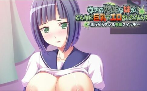 I Didn't Know My Plain Little Sister Was This Big-breasted and Lewd! Adult Game Cover
