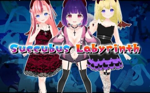Succubus Labyrinth Adult Game Cover
