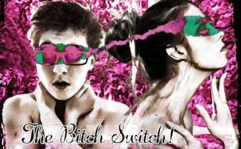 The Bitch Switch! Adult Game Cover