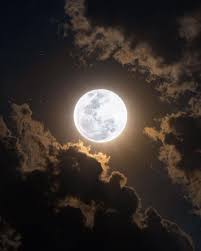 Valley Of The Wolves Adult Game Cover