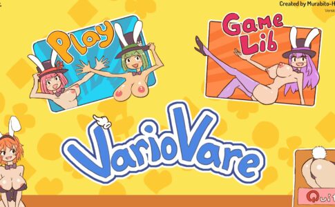 VarioVare Adult Game Cover