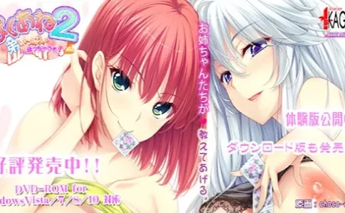 Baku Ane 2 ~Younger Brother, I'm Going to Squeeze You Dry! Adult Game Cover