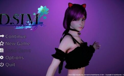 D.Sim Adult Game Cover