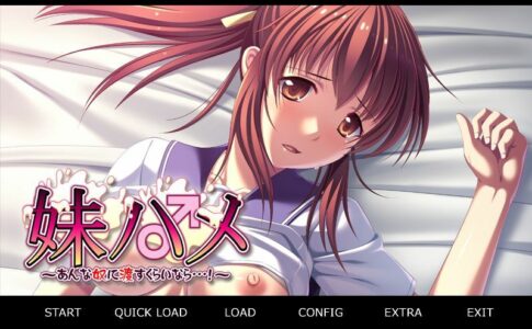 Little Sister Sex ~If Have to Hand Her Over to Some Guy Adult Game Cover