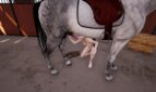 Stallion Adult Game Screenshots (4)