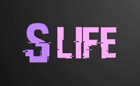 Stream Life Adult Game Cover