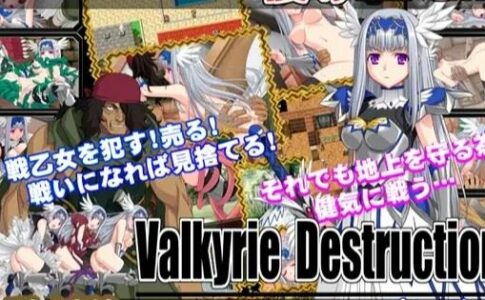 Valkyrie Destruction Adult Game Cover