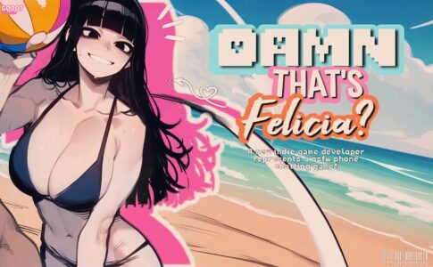 Damn That's Felicia Adult Game Cover