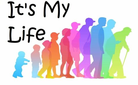 It's My Life Adult Game Cover