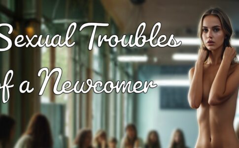 Sexual Troubles of a Newcomer Adult Game Cover