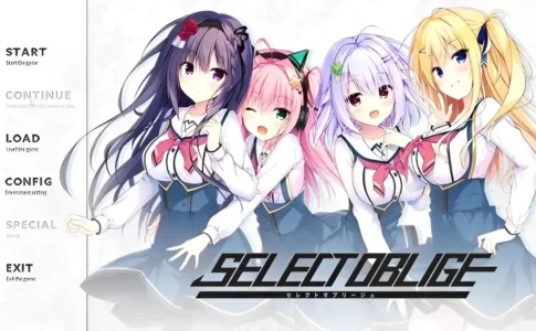 Select Oblige Adult Game Cover