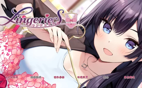 LingerieS Adult Game Cover