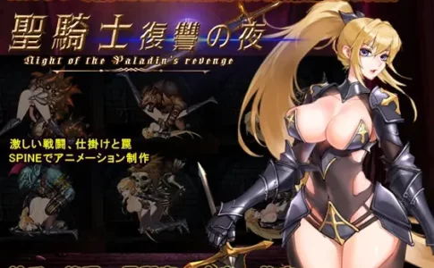 Paladin's Revenge Adult Game Cover