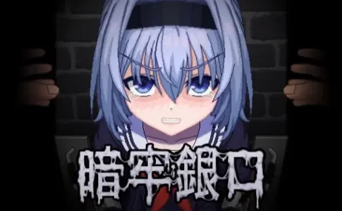 Silver Prisoner Adult Game Cover