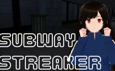 Subway Streaker Adult Game Cover