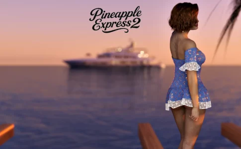 Pineapple Express 2 Adult Game Cover