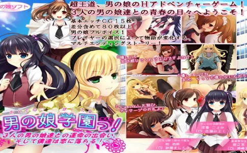 Otokonoko Academy! Adult Game Cover