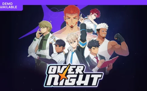 Overnight Adult Game Cover