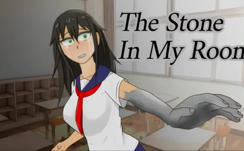 The Stone In My Room Adult Game Cover
