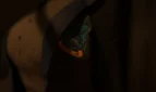Ravenclaw's Chosen Adult Game Screenshots (3)