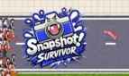 Snapshot Survivor Cover