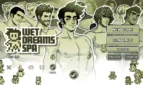 Wet Dreams Spa Cover