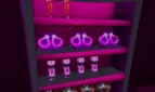 Adult Shop Simulator Adult Game Screenshots (1)