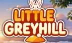 Little Greyhill Cover