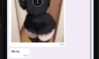 Phoney Adult Game Screenshots (1)