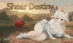Shear Destiny Cover