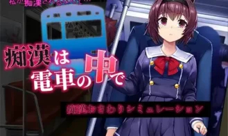 A Molester On The Train - Final 18+ Adult game cover